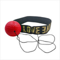 Boxing Speed Ball
